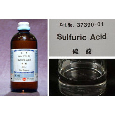 KINTO - CAFEPRESS Mug Red